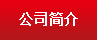 公司簡介